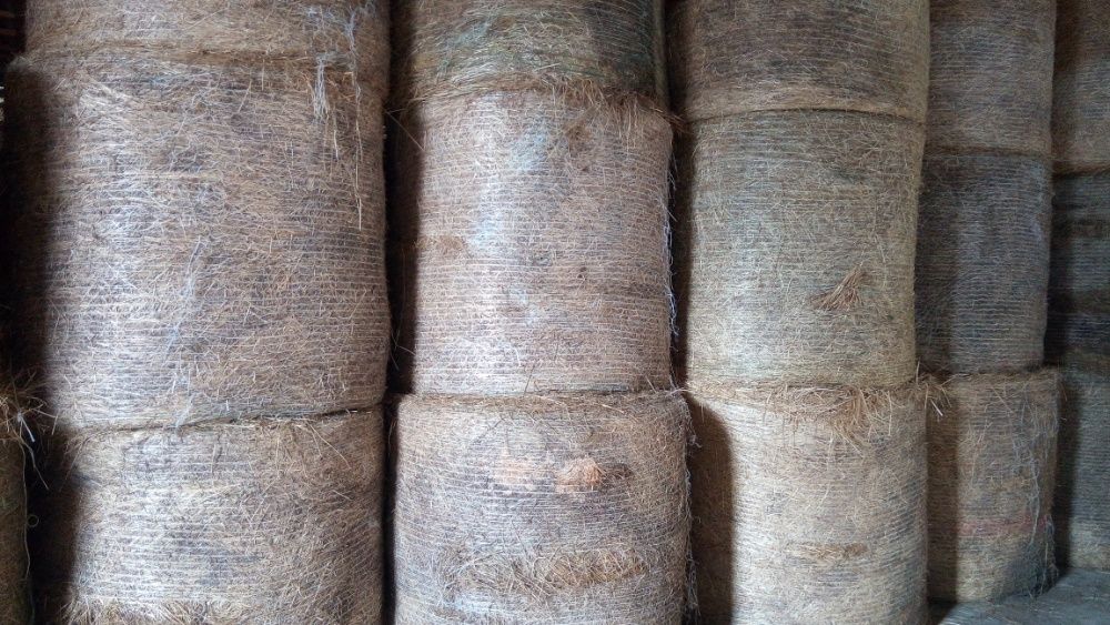 Siano,bale 120/120 transport 350 sztuk