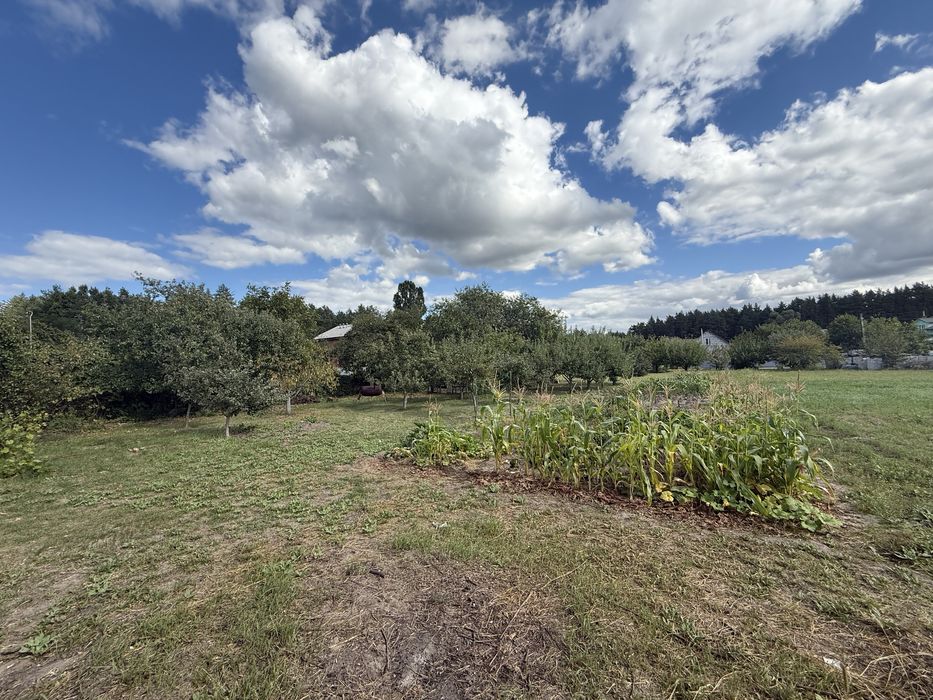 Продам ділянку 8 соток на Лукавиця-2 (Польок - с.Нещерів).