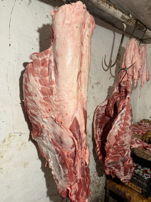 Продам тушку свинини