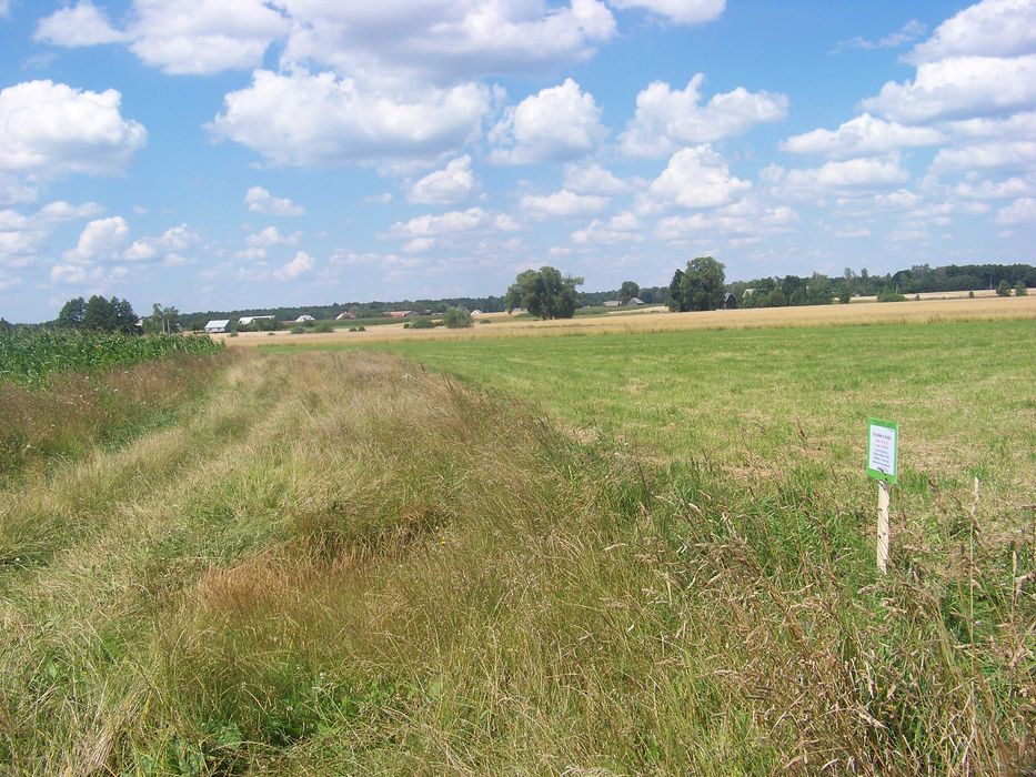 Sprzedam działkę Tończa