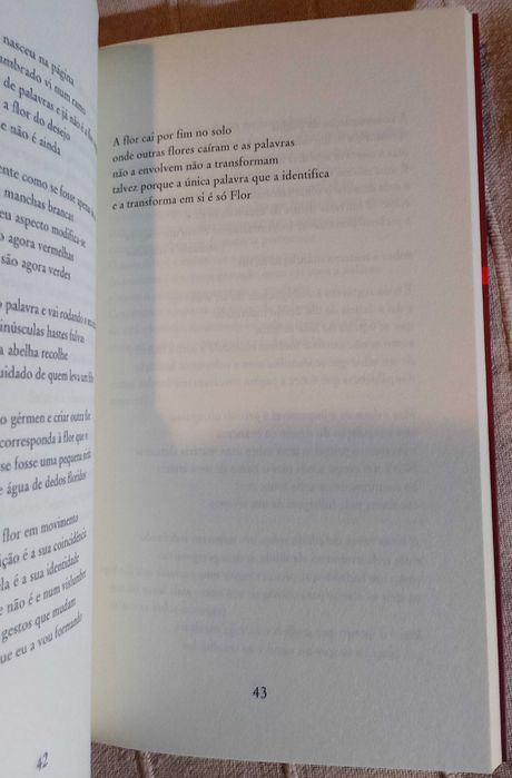 Deambulações Oblíquas, António Ramos Rosa