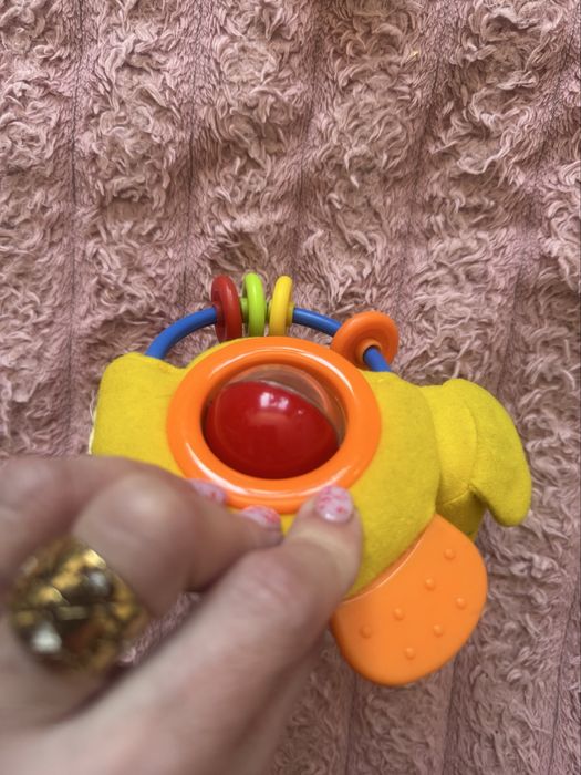 Брязкальця, гризун