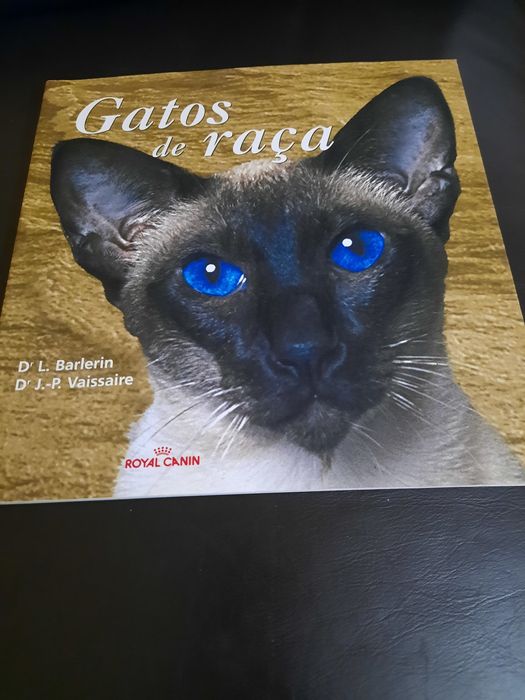 Gatos de Raça Royal Canin