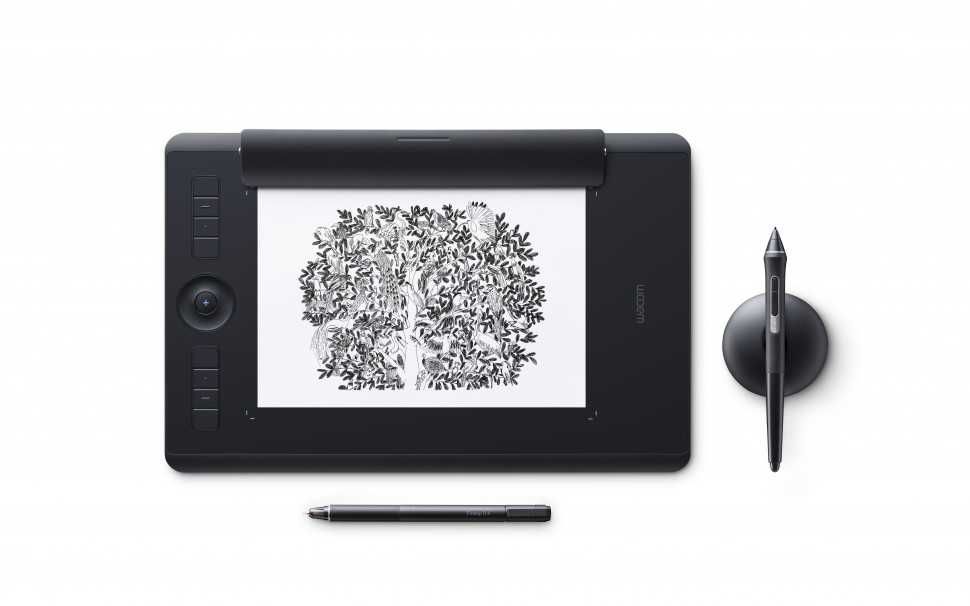 Графічний планшет Wacom Intuos Pro Paper Edition M (PTH-660P-N)