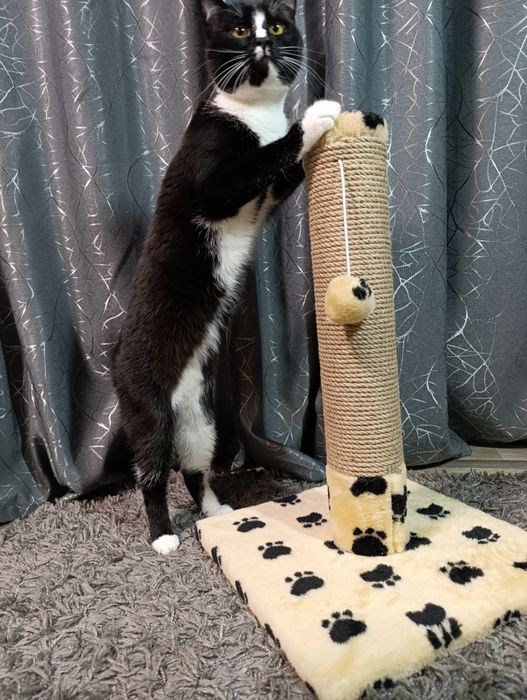 Кігтєточка для  котів. Дряпка, царапка для активних котиків