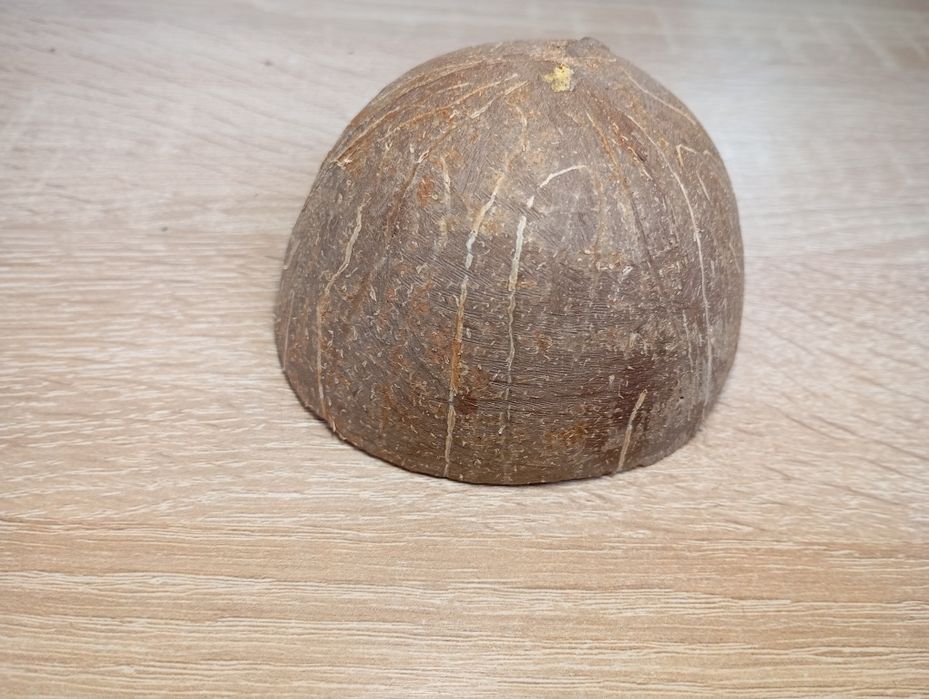 укритя ,печера з половинки кокоса