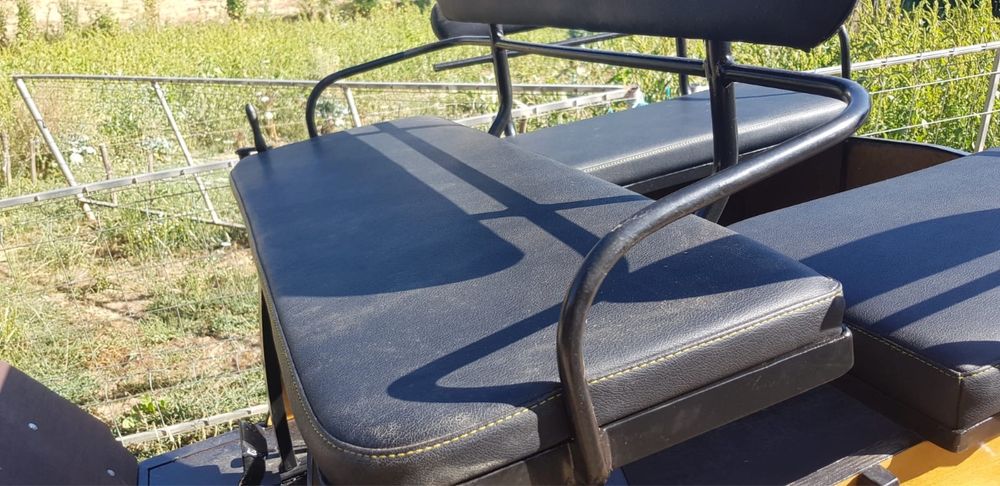 Poney c/s charrete e arreios