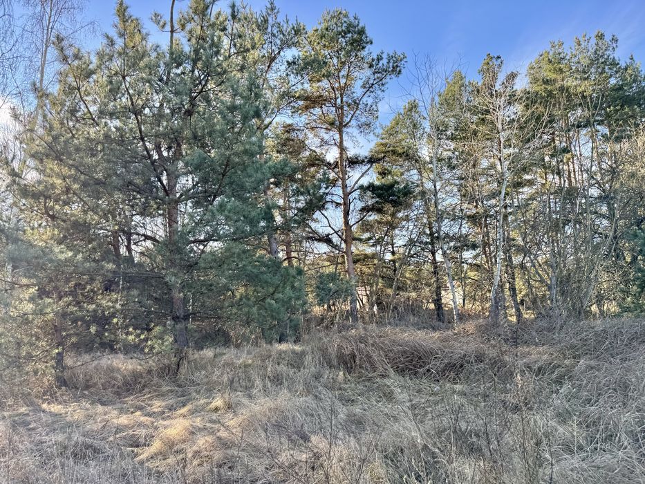 Земельна ділянка 8 Га! Ясногородка!