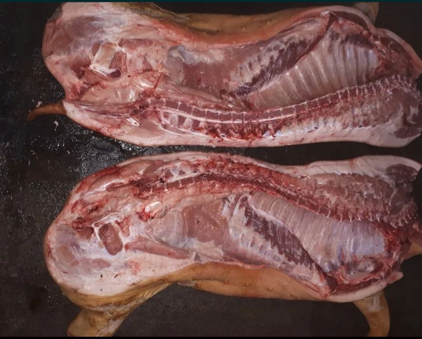 Продам м'ясо Домашній Свинини