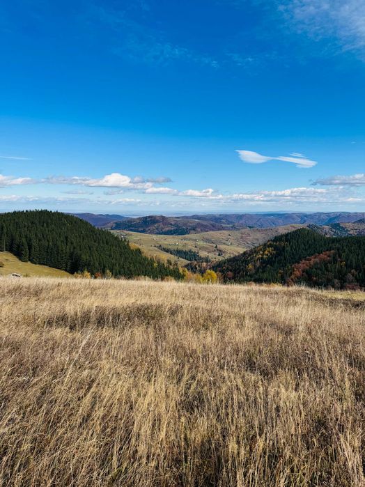Продаж ділянки,с.Верхній Ясенів (Писаний Камінь),56 сот.,без комісії.