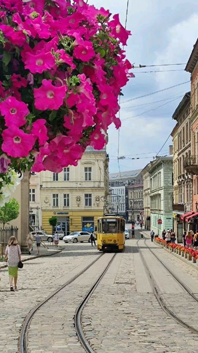 Вільно Центр  Подобово Погодинно ЛИЧАКІВСЬКА