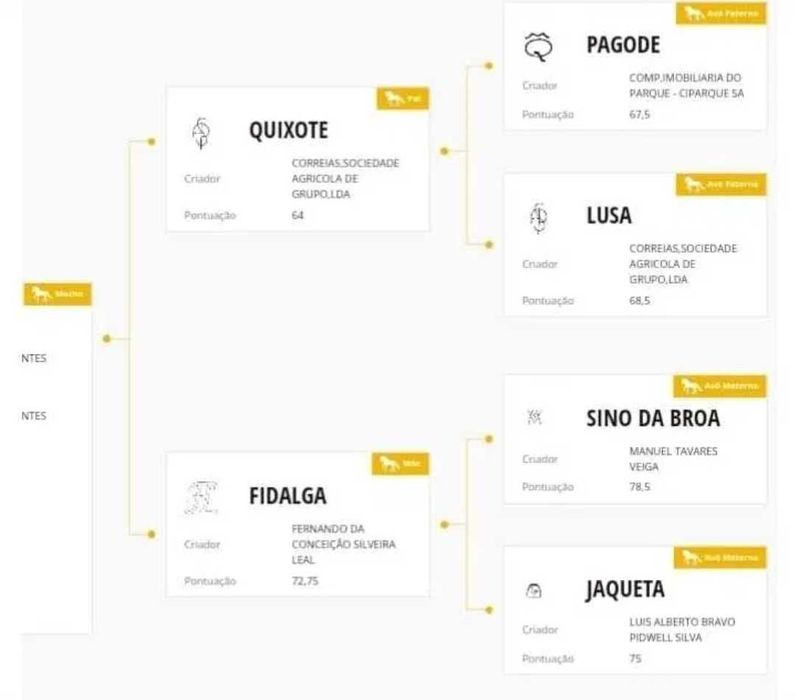 Lusitano  Puro neto do Pagode