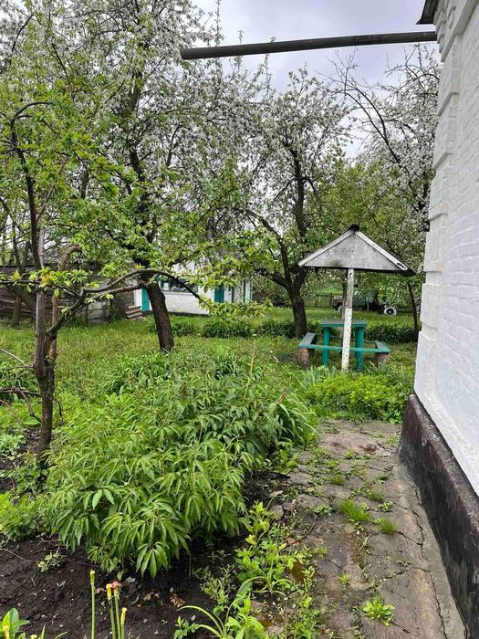 Будинок – Яблунівка, Білоцерківський район - Більше