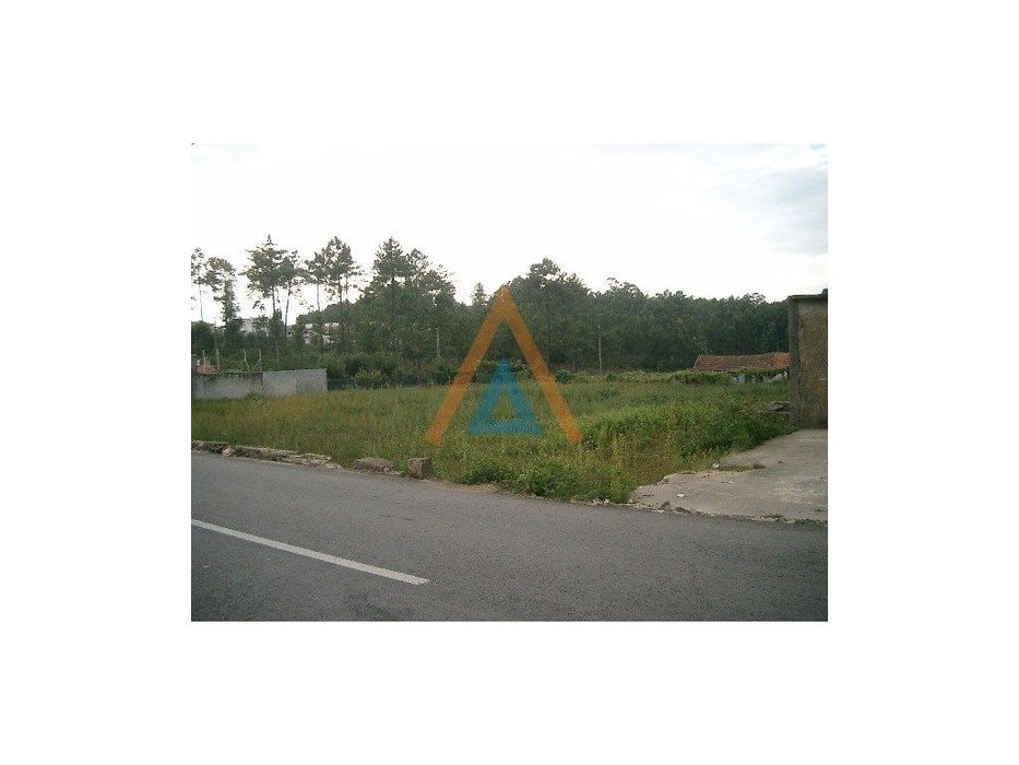 Land for Sale in Santa Maria da Feira