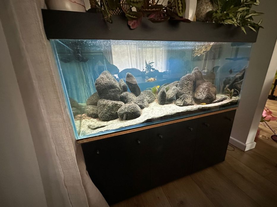 Akwarium 360L 120x60x50