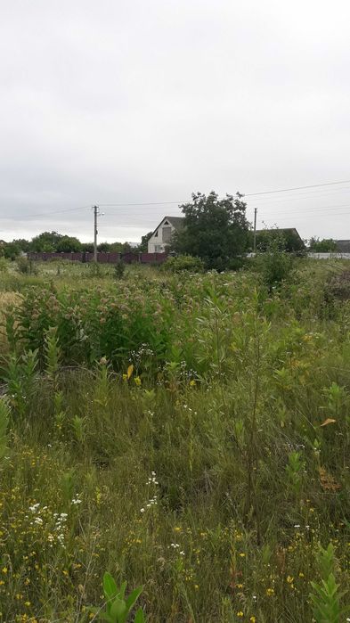 Продаж земельної ділянки в  с. Мошни, вулиця Горіхова