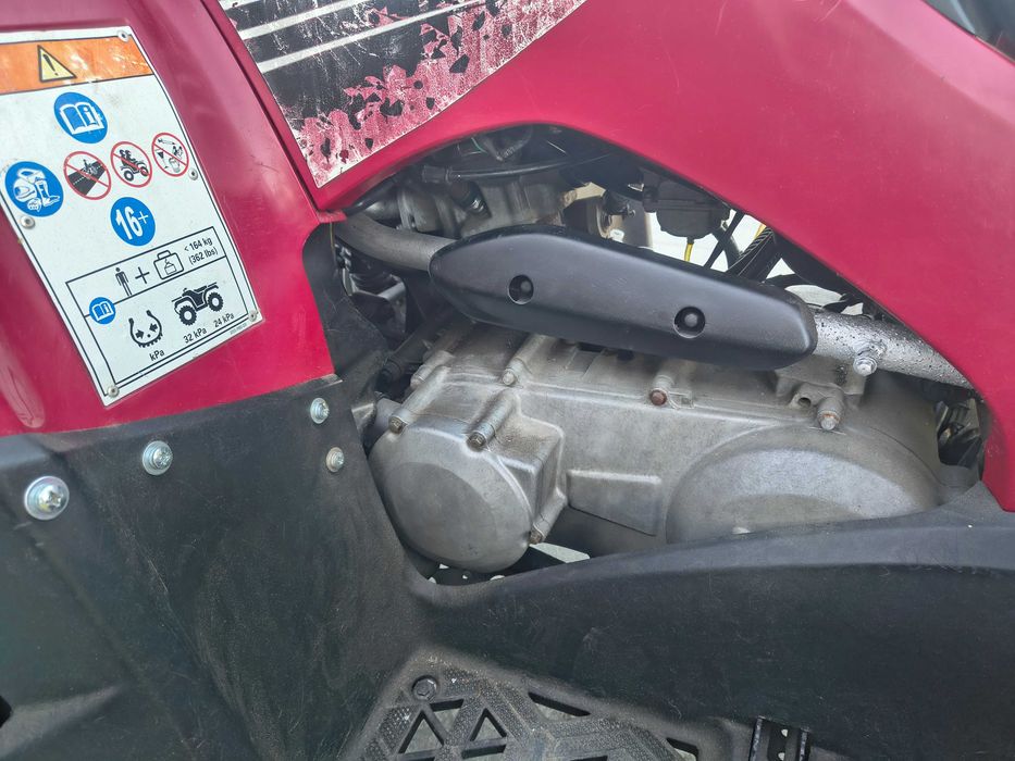 Kawaski KVF 300 Brute Force