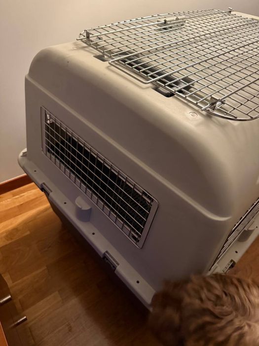 Dogfly N8 XXL (120 cm) Caixa de transporte para cão