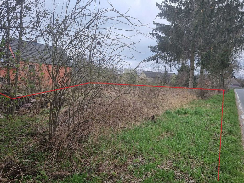 Działka siedliskowa 4200 m² we wsi Niedźwiednik 57-224 koło Ziębic [3 działki] - Więcej
