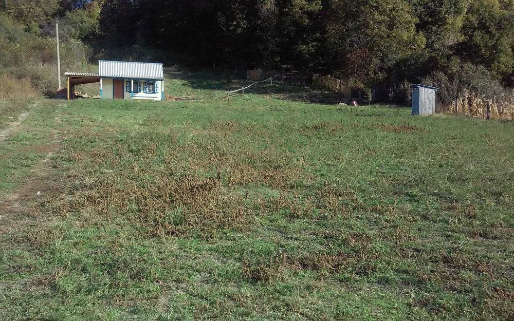 Дачна ділянка, село Курінька, Полтавська область