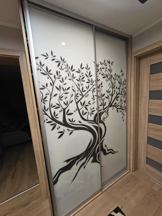 Szafa ze szklanymi  drzwiami