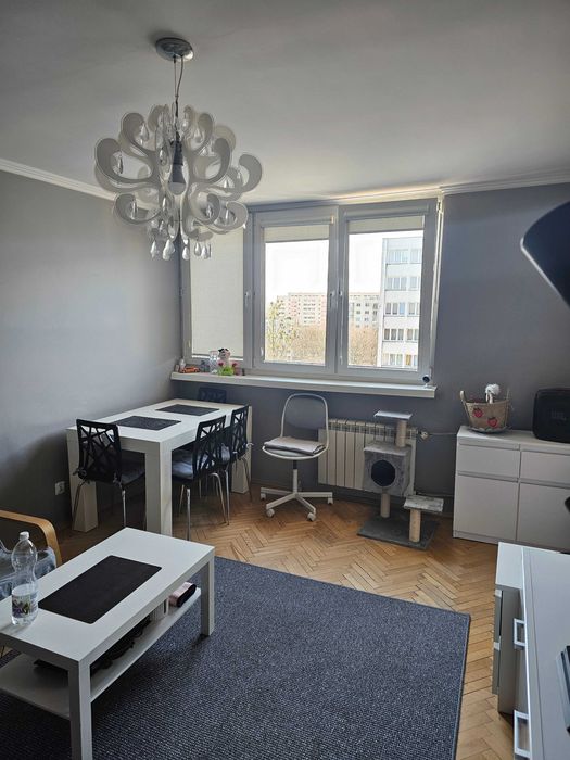 Mieszkanie na wynajem (Dąbrowskiego)