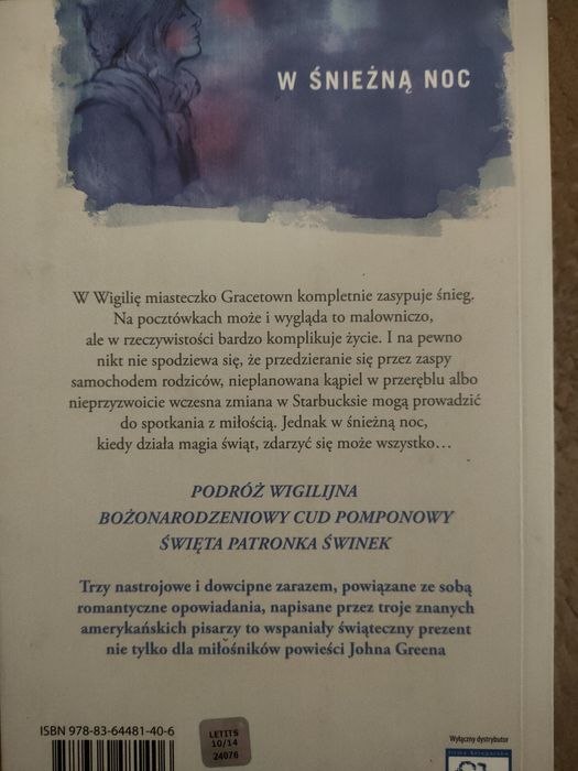 W śnieżną noc książka