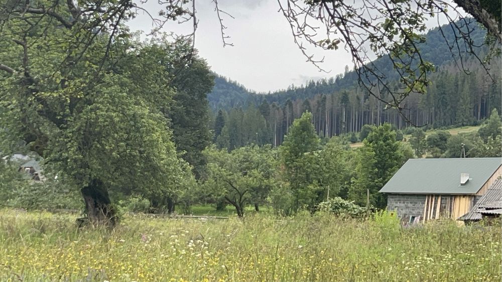 Продається ділянка у горах Закарпаття село Голятин