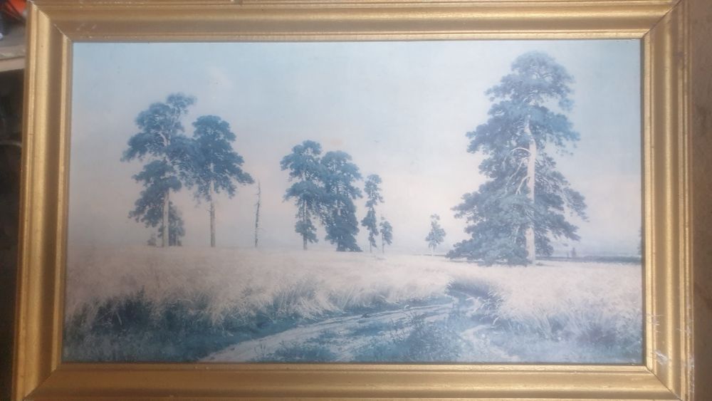 Картина художника И.И.Шишкина