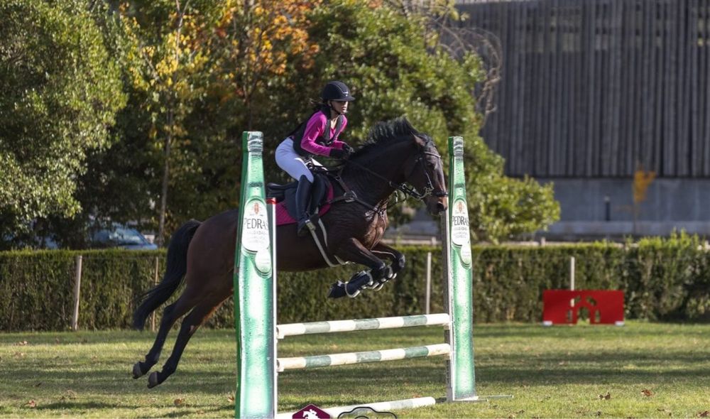 Égua de obstáculos