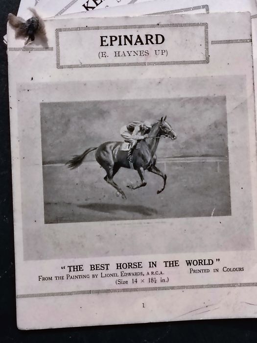 Cavalos Corrida - 30 Gravuras Lionel Edwards 1920
