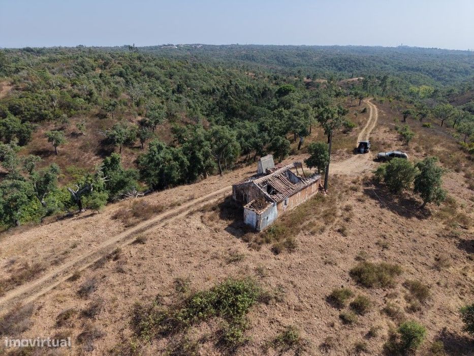 TERRENO MISTO - 7,075ha (c/ ruína)