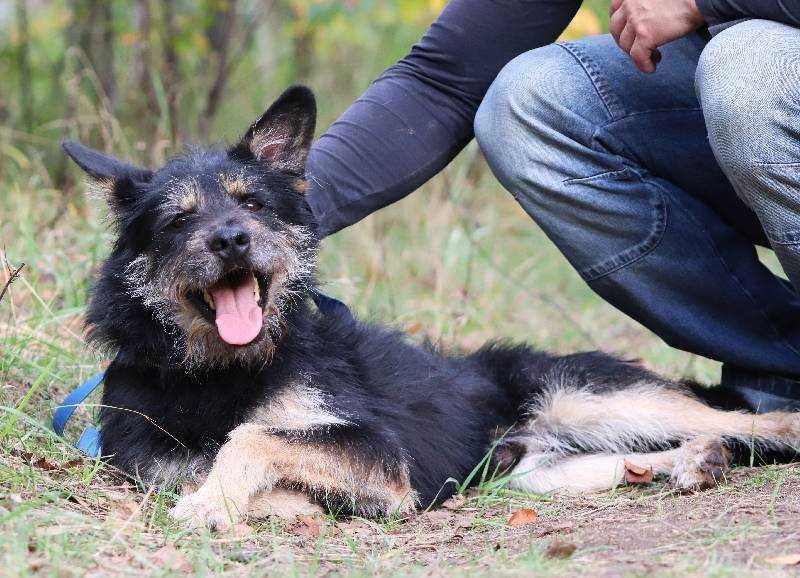 Bandziorek co kocha najbardziej