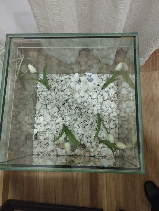 Mesa / caixa de vidro quadrada 50 cm , altura 40 cm