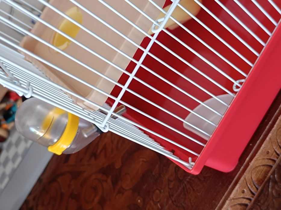 Casa para hamster usada apenas 2 meses Penafiel • OLX.pt
