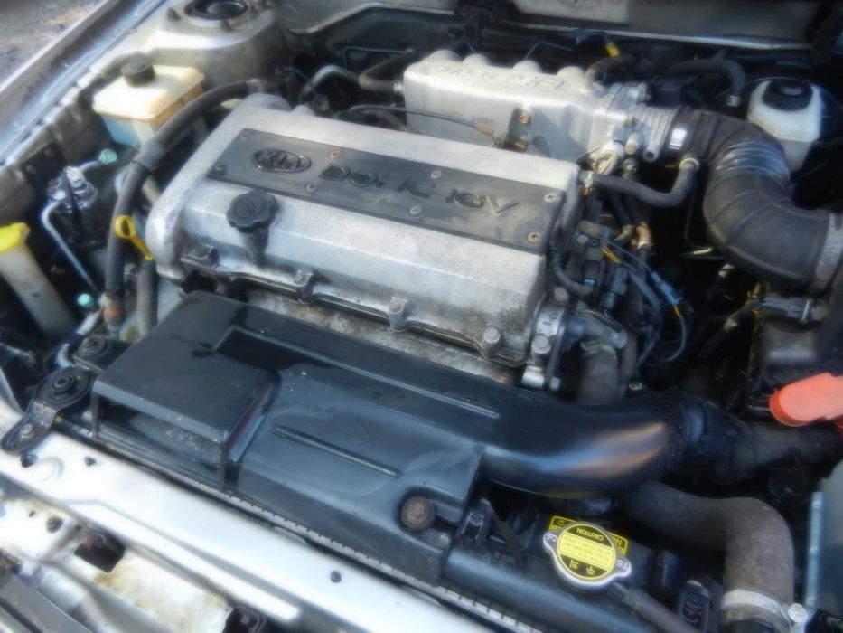 Volkswagen Polo 1.9 SDI 1896 cm³ 1997r. 64 KM