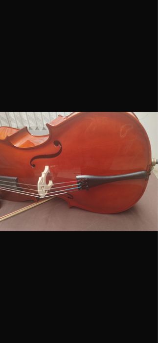 Violoncelo 3/4 para jovens