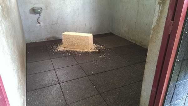 Pavimento para cavalos