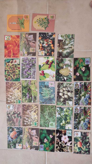 50 postais Portugueses com selo e carimbo 1º dia-Tema Flores e Plantas