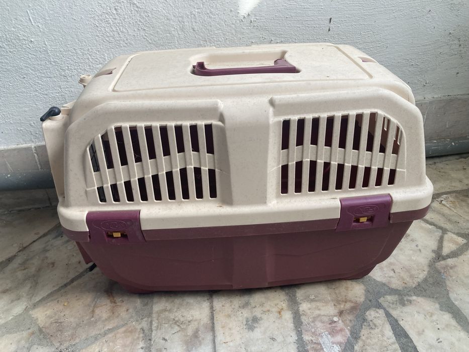 Caixa transporte gato