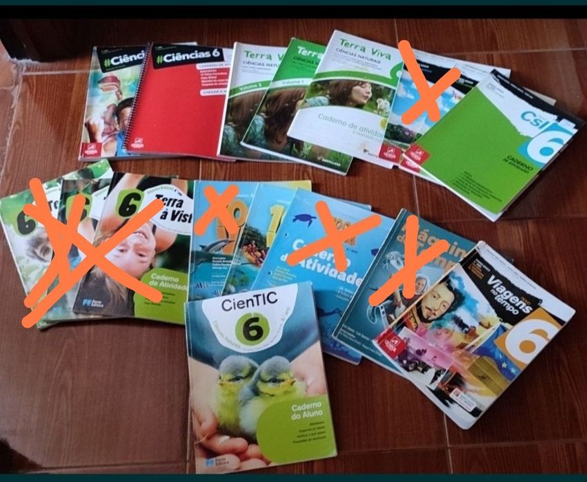 Manuais escolares para 6 ano