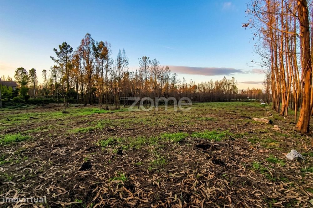 Terreno urbano + rústico com 2.472 m² – projeto ideal para moradia