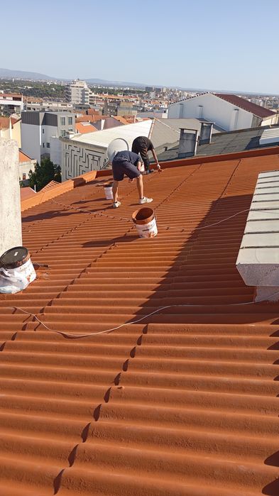 Lavagem e impermeabilização de telhados /Trabalhos Verticais