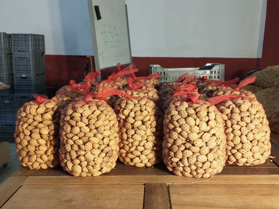 Amêndoa Bio -  Muito Doce - Colheita 2025