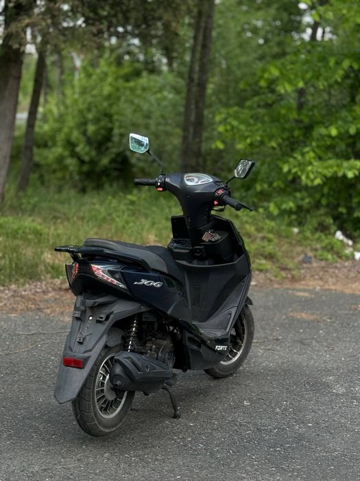 Forte jog 80 2021