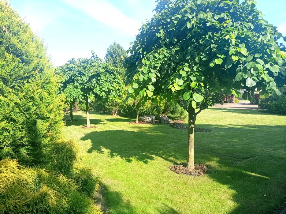 Zakładanie i pielęgnacja ogrodów