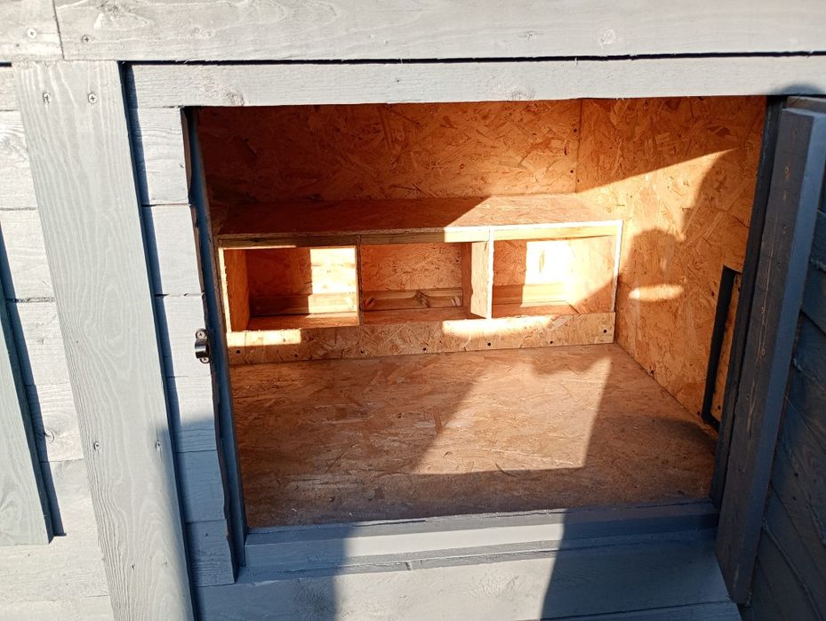 Na sprzedaż kurnik wraz z kurkami Silka