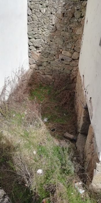 Casa com pequeno logradouro