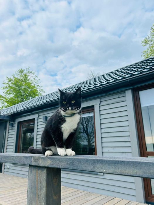 Agroturystyka Podlasie dom na wyłączność sauna komfort piękna okolica