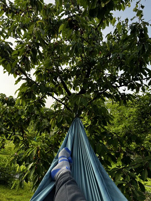 Działka rod Kopiec Kosciuszki